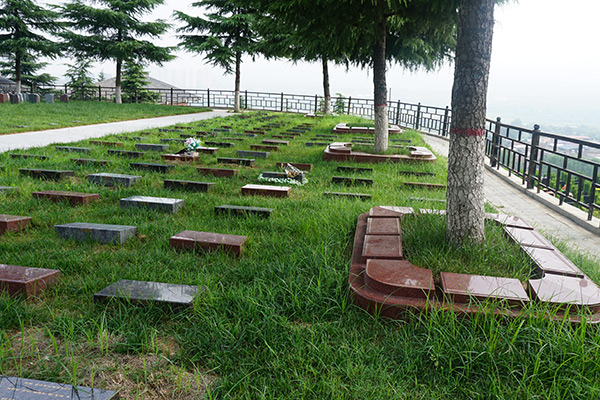 西安市树葬的价格大概多少钱？西安哪个墓园的树葬比较好？