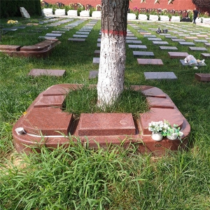 草坪园树葬