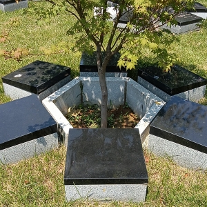 生态葬区树葬