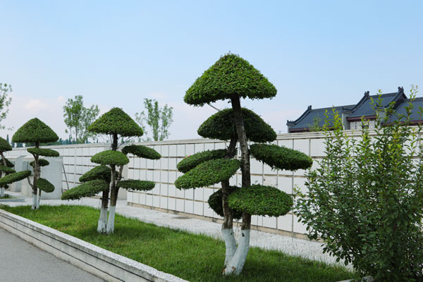沣都苑生命纪念园怎么样