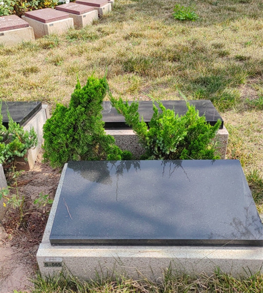 卧龙山节地葬
