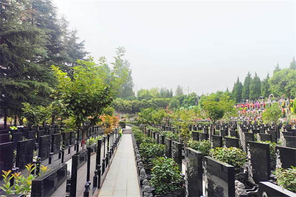 汉陵墓区