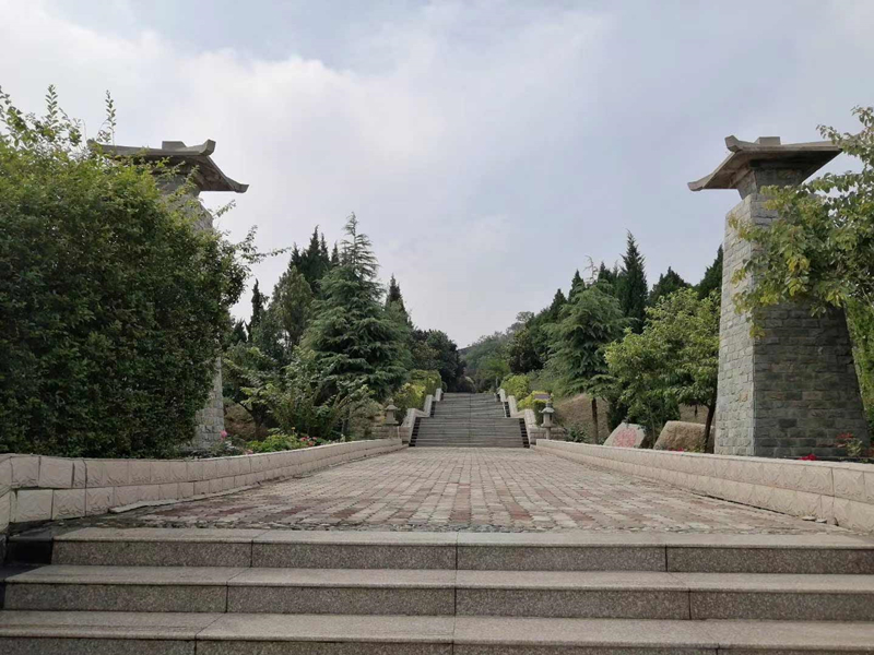 卧龙山风景