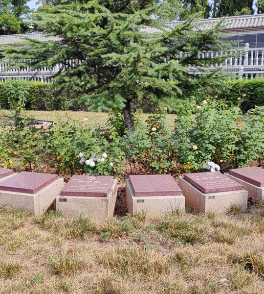 卧龙山花坛葬