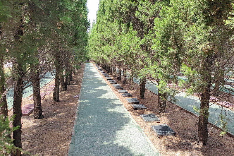 树葬墓区