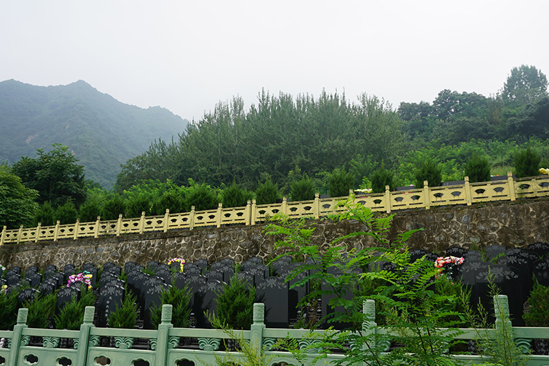墓区实拍