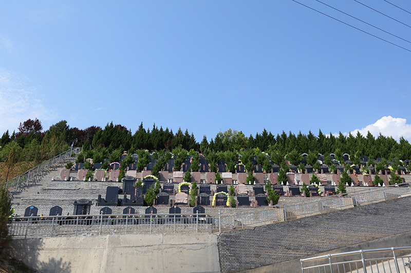 公墓实拍 公墓实拍