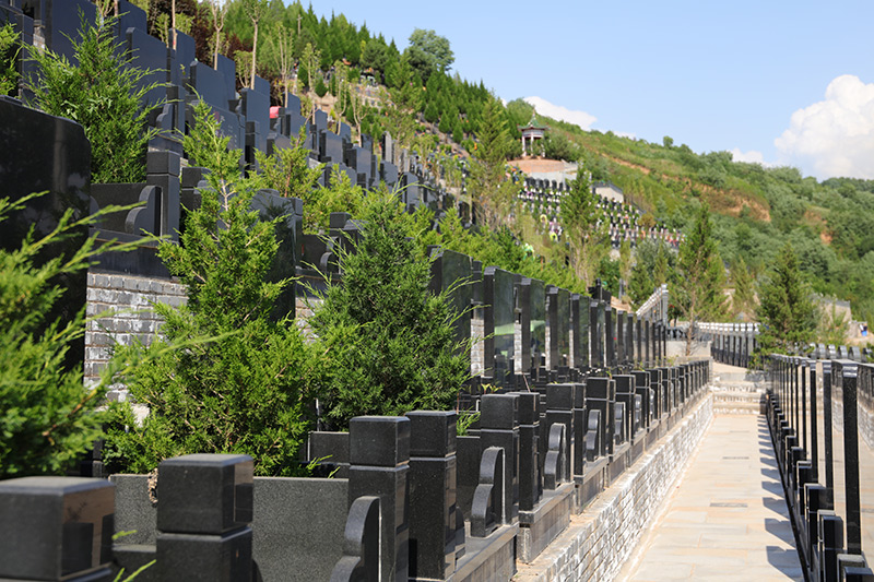 墓区绿化 墓区绿化