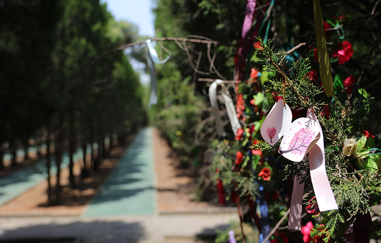 汉皇树葬墓园树葬环境