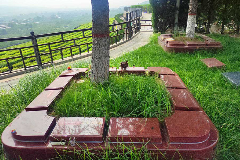 霸陵墓园新区树葬