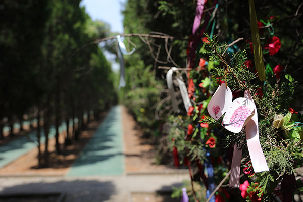 西安优质树葬墓园有哪些？哪家更适合？