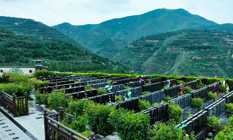 唐昭陵墓园紫薇园