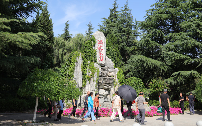 西安汉陵墓园松柏苍翠