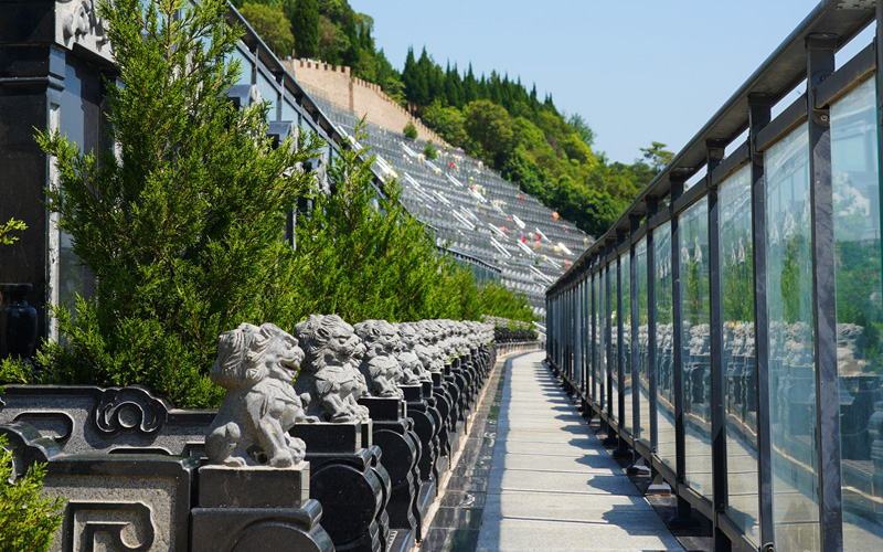 灞桥区高桥墓园墓区实拍