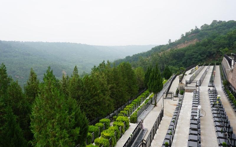 寿阳山园区依山势而建,遍植松柏花木 寿阳山园区依山势而建,遍植松柏花木